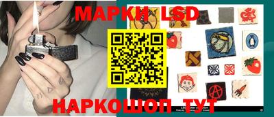 сатива Ставрополь