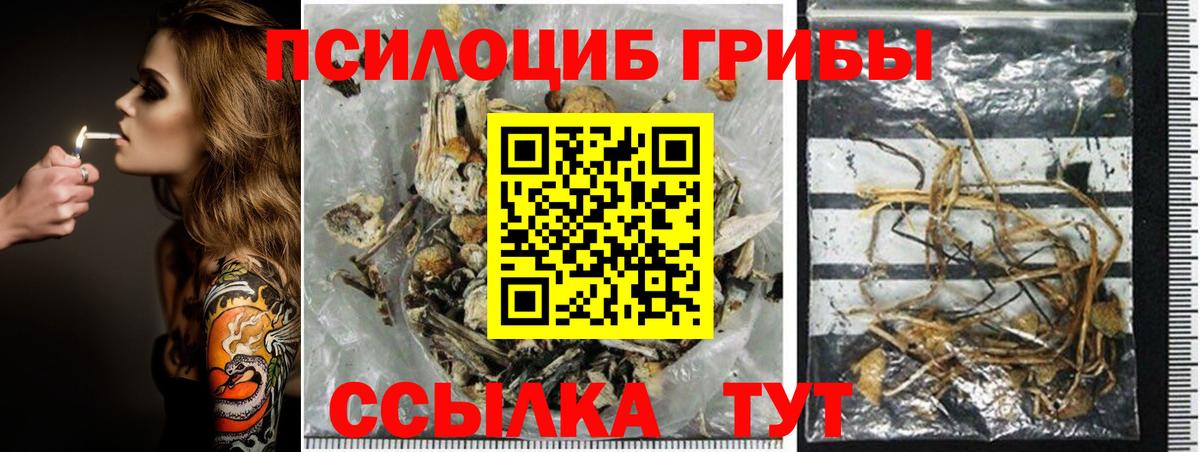 Псилоцибиновые грибы MAGIC MUSHROOMS Ноябрьск