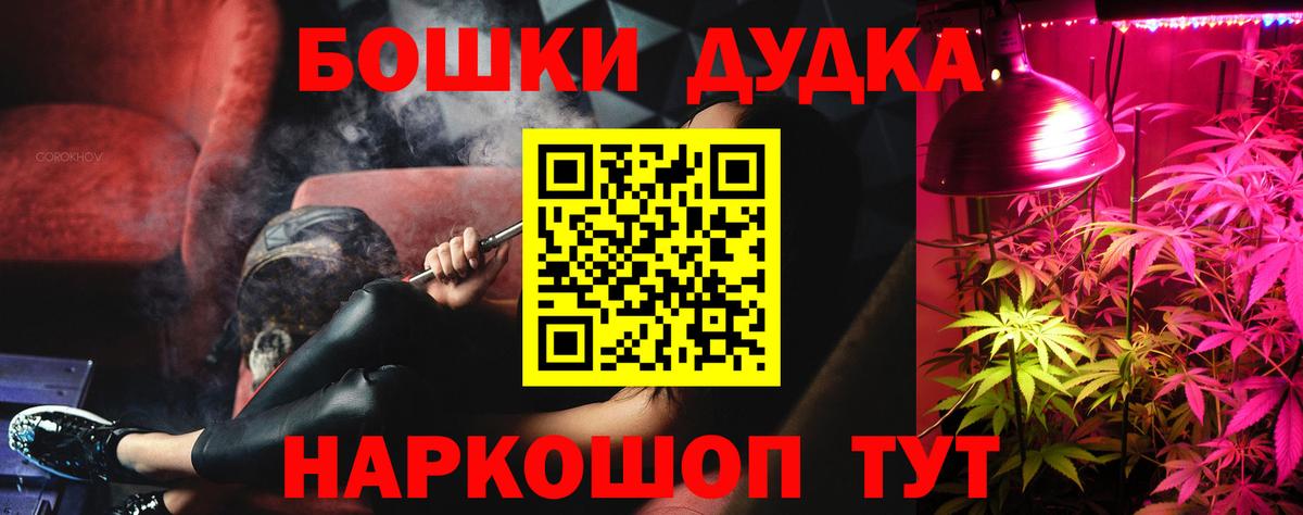 Каннабис план  Вход с VPN  Шишки марихуана тримм  Ноябрьск  Бошки марихуана LSD WEED  Бошки марихуана Amnesia 